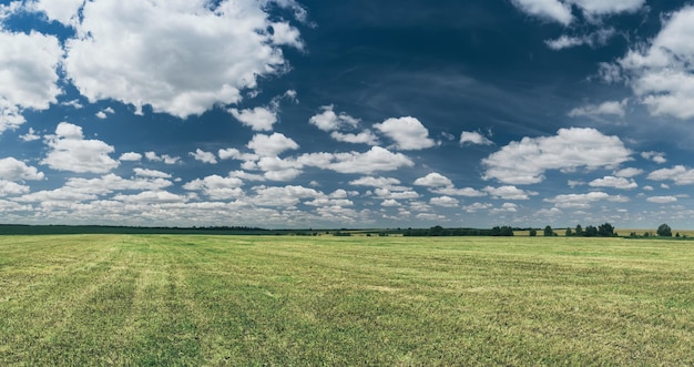 Zdjęcie wiejski krajobraz z pola i błękitne niebo z chmurami, wiosna sezonowe naturalne tło. widok panoramiczny