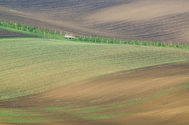Wiejski krajobraz z polami i falami Południowe Morawy Czechy
