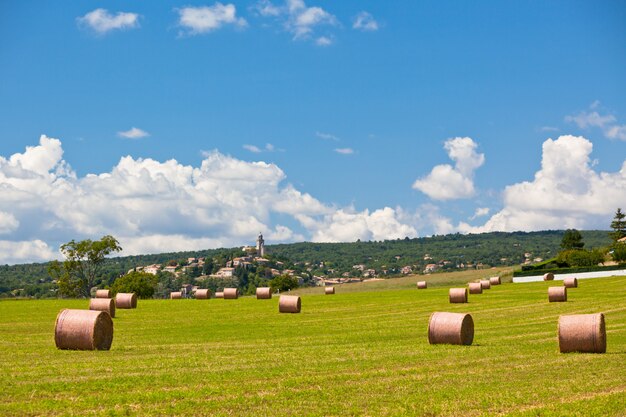 Wiejski krajobraz z rolnymi i belami słomy w Prowansji we Francji