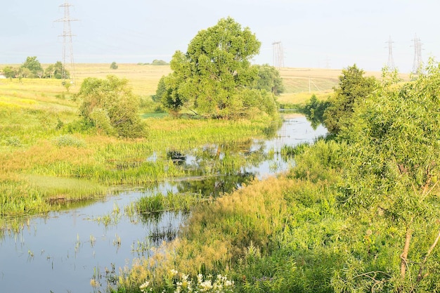 Wiejski krajobraz z rzeką o świcie