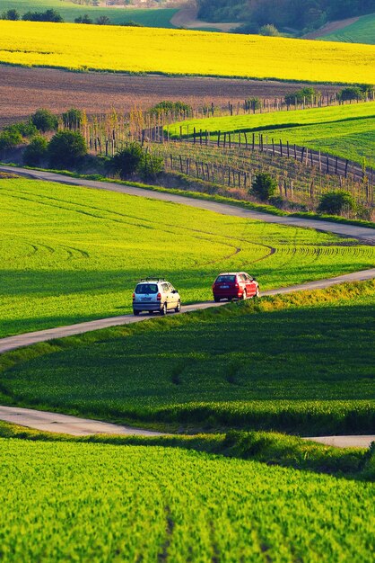 Wiejski krajobraz z zielonymi polami droga samochodowa i fale Południowe Morawy Czechy