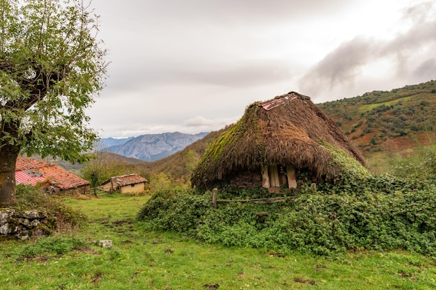 Wiejskie krajobrazy we wnętrzu Asturii