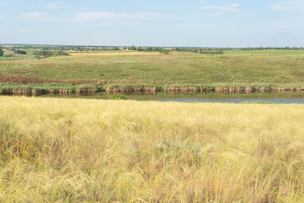 Wiejskie pola krajobrazowe latem z żółtą suchą trawą sierpień ukraina