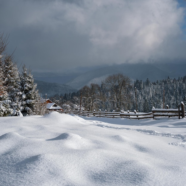 Wiejskie wzgórza gaje i pola uprawne zimą odległa alpejska wioska górska