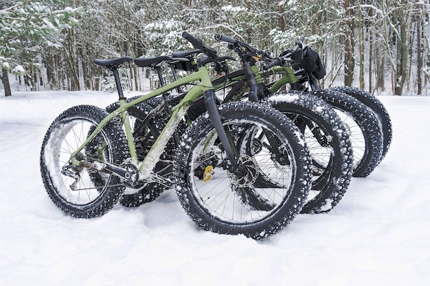 Wiele Fatbike’ów Stoi Zimą Na śniegu W Lesie