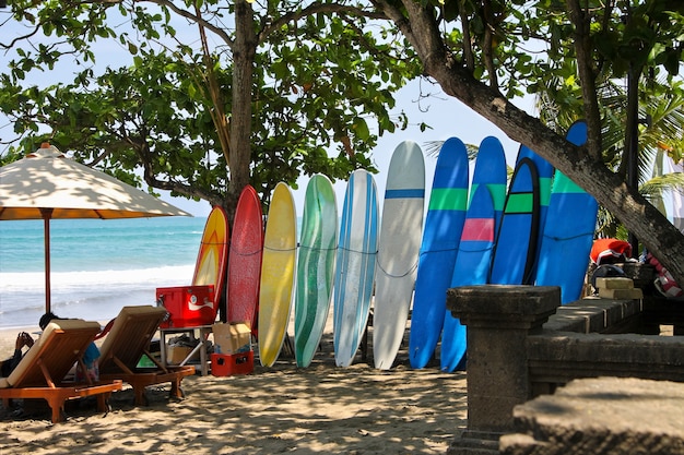 Wiele kolorowych desek surfingowych do wynajęcia na plaży w piasku na Bali