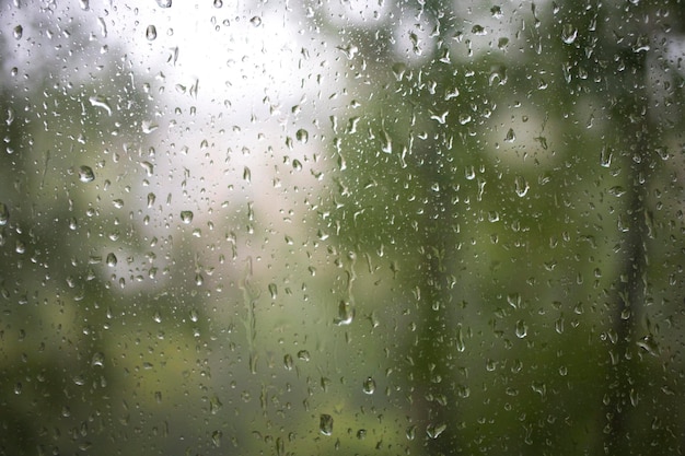 Wiele kropli deszczu na oknie z drzewami rozmazanymi w tle