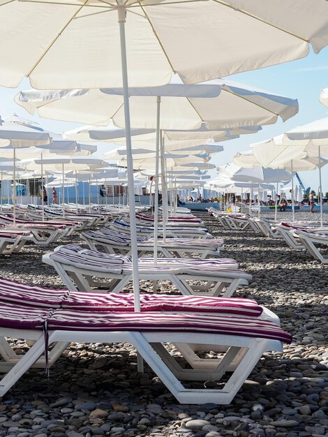 Zdjęcie wiele leżaków słonecznych z paskowymi materacami i białymi parasolami na skalistej plaży