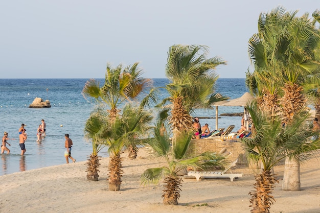 Wiele palm i ludzi na piaszczystej plaży nad morzem?