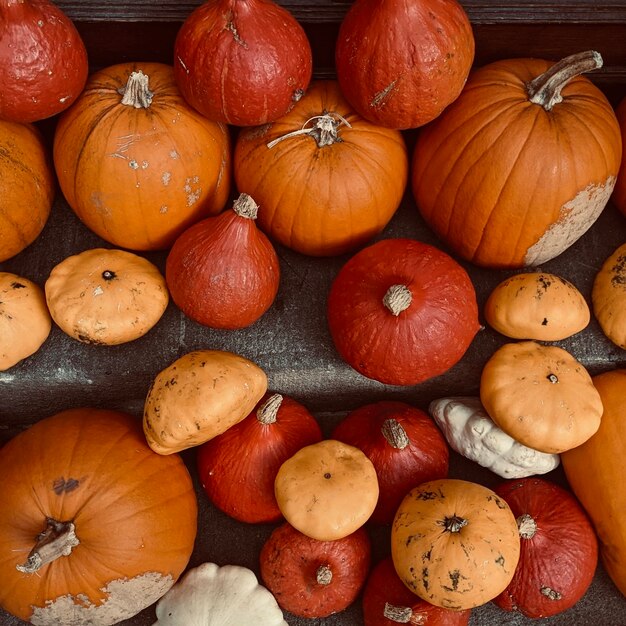 Wiele Pomarańczowych Dyń Na Halloween