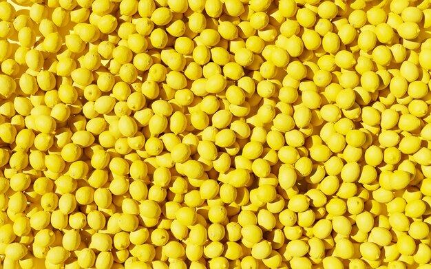 Wiele soczystych żółtych cytryn leży razem w dużej kupie