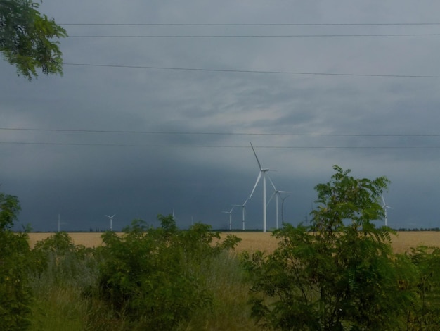 Wiele turbin wiatrowych jest zainstalowanych na tle pola pszenicy na chmurnym niebie Energia odnawialna i ochrona przyrody