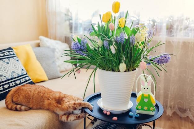 Wielkanocna dekoracja. Kot bawi się jajkami przez wiosenne kwiaty kwitnące w doniczce w domu. Zabawa zwierzaka na kanapie. Wakacyjne wnętrze