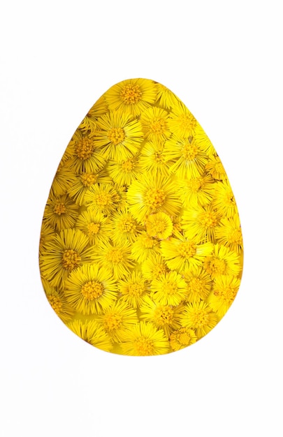 Wielkanocne minimalne tło z sylwetką jajka z żółtych kwiatów. Kreatywna koncepcja Happy Easter Flat Lay widok z góry