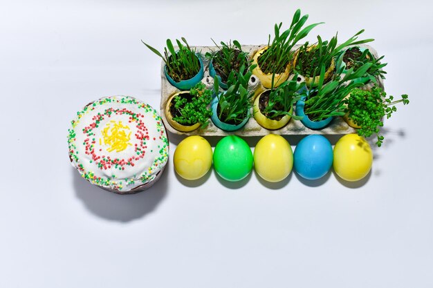 Wielkanocni Kolorowi jajka z młodymi zielonymi kiełkami pszenicy i wielkanocnego tortu