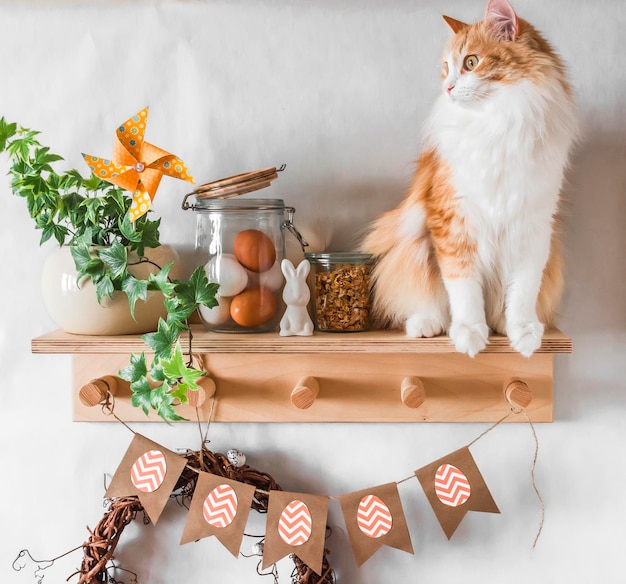 Wielkanocny dom Przytulna kuchnia wewnętrzna drewniana półka z wielkanocną girlandą i czerwonym kotem na jasnym tle