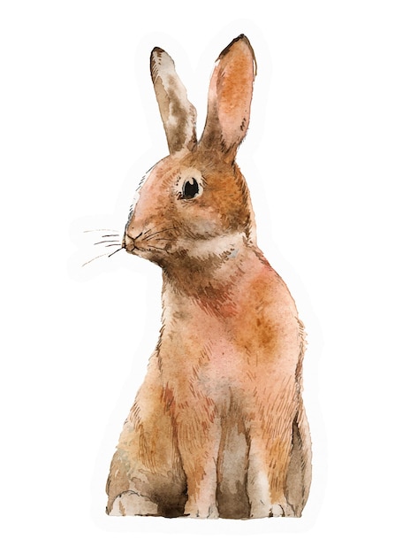Wielkanocny królik naklejka png akwarela ilustracja przezroczysty tło