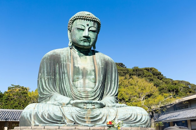 Wielki Budda Świątyni Kotokuin w Kamakura
