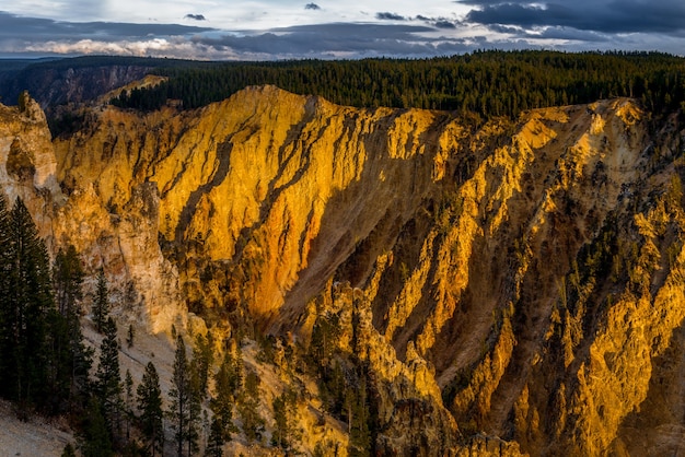 Zdjęcie wielki kanion yellowstone