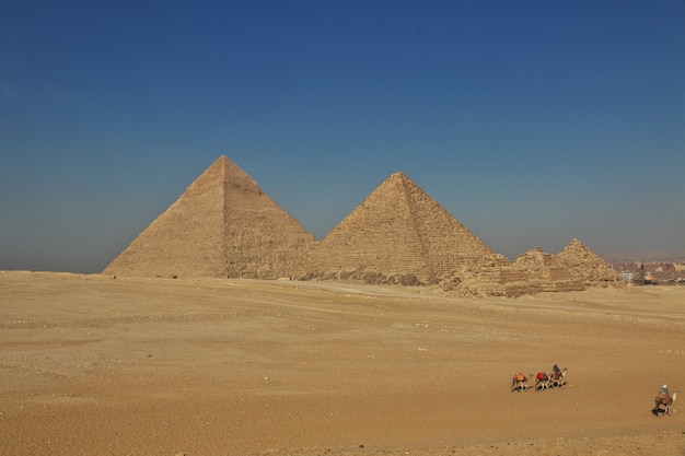 Wielkie Piramidy Starożytnego Egiptu W Gizie W Kairze