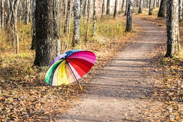 Wielobarwny Parasol Spoczywa Na Opadających Liściach