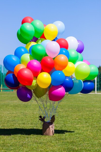 Zdjęcie wielokolorowe balony na trawiastym polu