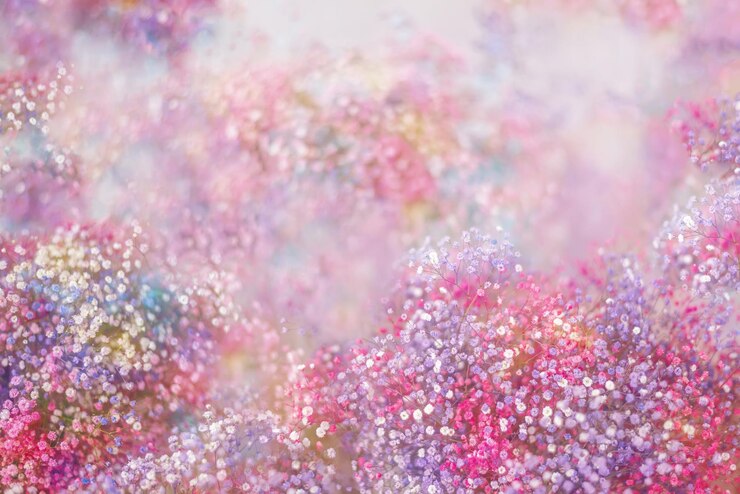 Wielokolorowe kwiaty gypsophila na jasnym tle Wiosenna banerowa pocztówka.