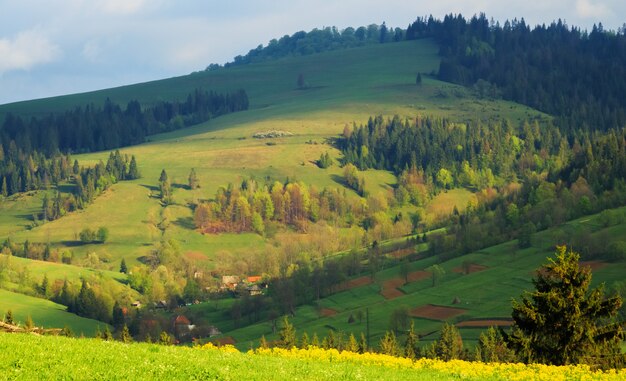 Wielokolorowe ukośne Karpaty