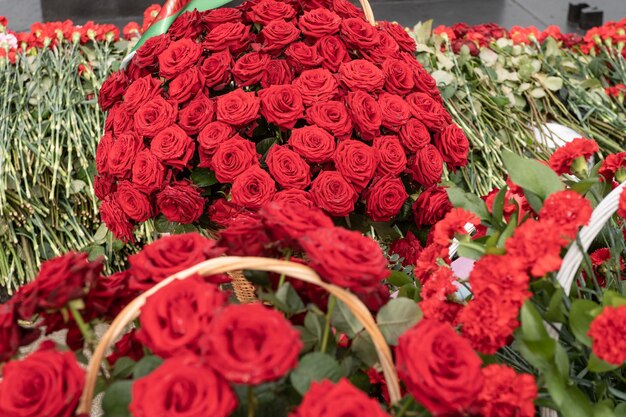 Wieniec czerwonych żywych róż na ulicy Dzień Pamięci i Smutku