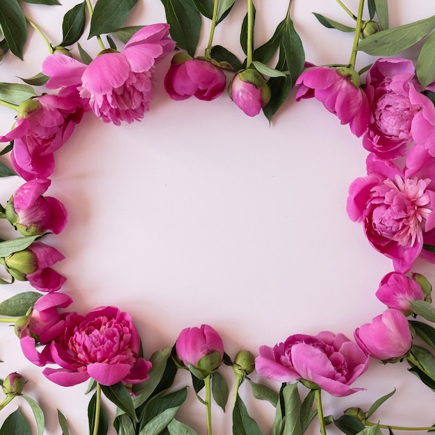 Wieniec wykonany z eleganckich różowych kwiatów piwonii z pustym miejscem na kopię makiety na pastelowym różowym tle Płaski widok z góry blog marki szablon mediów społecznościowych