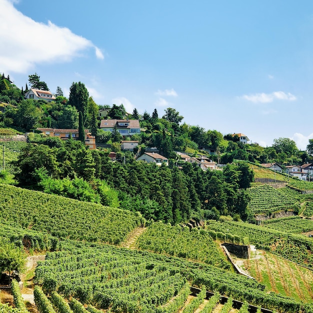 Wieś na szlaku turystycznym Lavaux Vineyard Terraces, dzielnica Lavaux-Oron, Szwajcaria