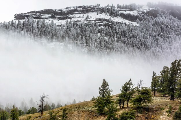 Wieś Parku Narodowego Yellowstone