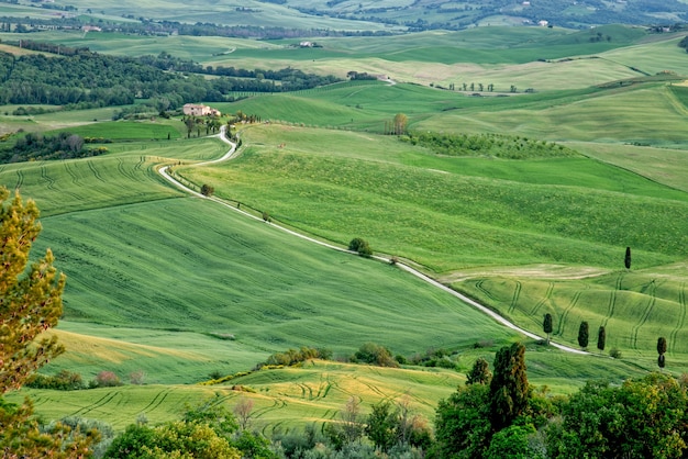 Wieś Val d'Orcia w pobliżu Pienzy w Toskanii