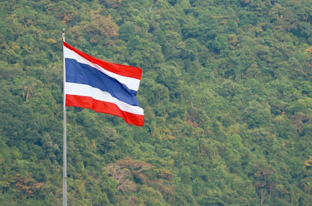 Wietrzna Tajlandzka flaga państowowa z zielonym lasem jako tło.