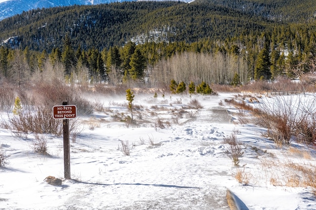 Wietrzna Zima Ze śniegiem W Rocky Mountains National Park, Kolorado, Usa