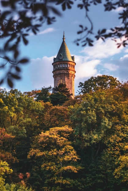 Wieża Banku Luksemburga Otoczona Drzewami