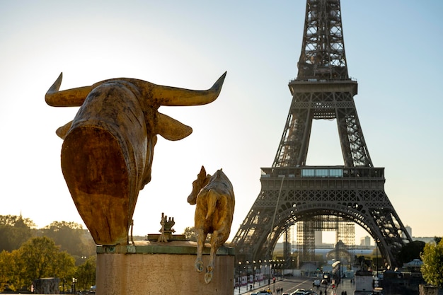 Wieża Eiffla o wschodzie słońca z Place du Trocadero Paris Francja