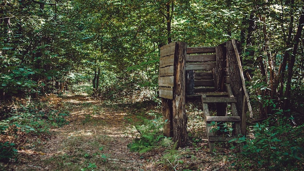 Wieża myśliwska do polowania na zwierzęta w zarośniętym lesie.