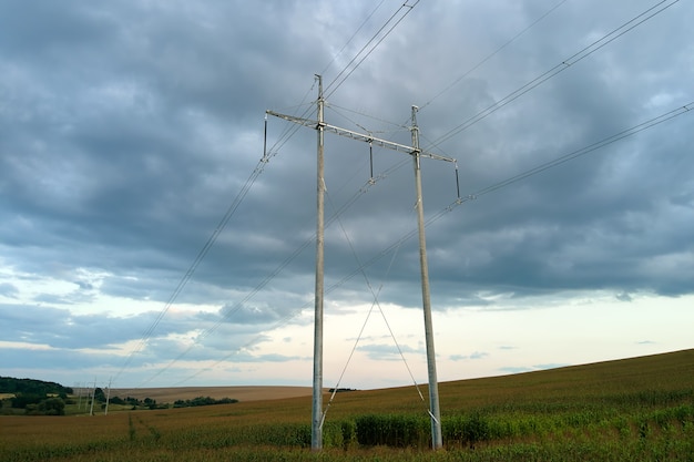 Wieża z liniami elektroenergetycznymi do przesyłu prądu wysokiego napięcia zlokalizowana na polu kukurydzy. Dostawa koncepcji elektroenergetycznej.