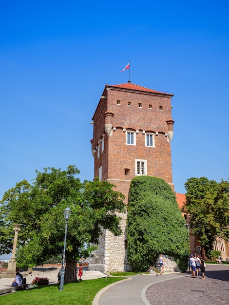 Wieża złodzieja w zamku w słoneczny letni dzień