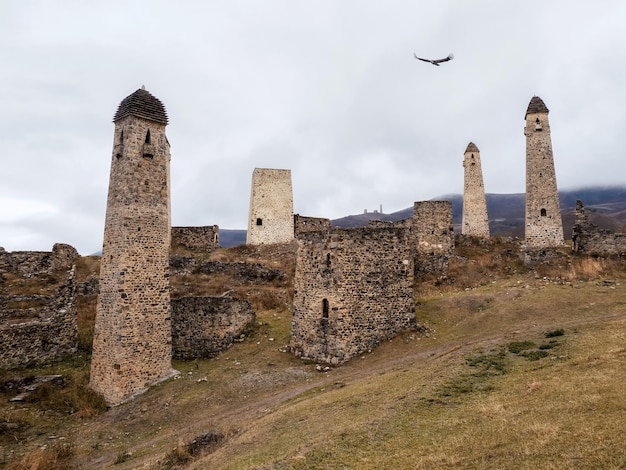 Wieże bojowe Erzi w wąwozie Jeyrah Średniowieczny kompleks wieżowy Erzi jedna z największych średniowiecznych wiosek z wieżami typu zamkowego położona na krańcu pasma górskiego w Inguszetii w Rosji