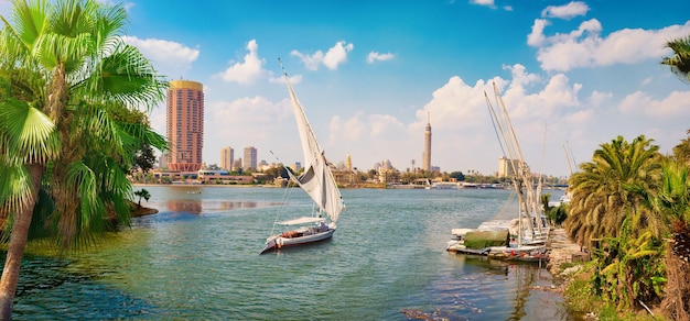 Wieżowce Kairu