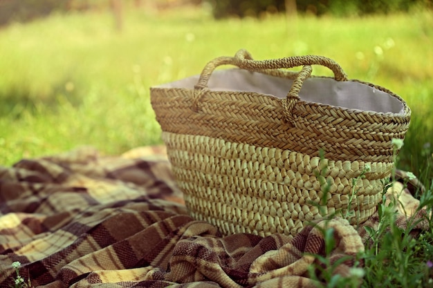 Wiklinowy kosz i Plaid na piknik na zielonej trawie