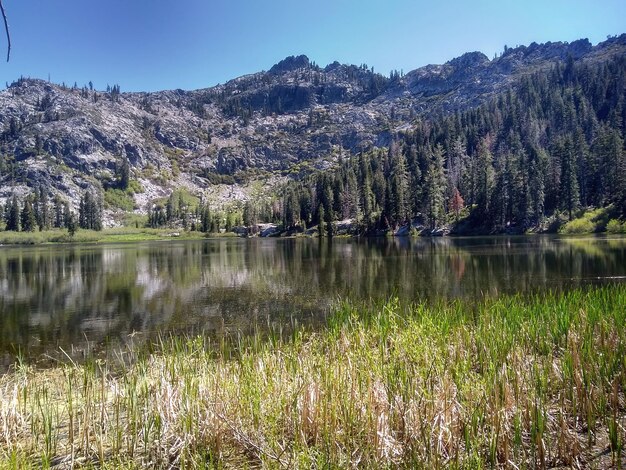 Wilderness w Trinity Alps w Kalifornii