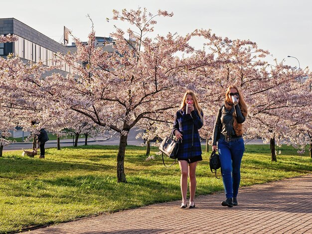 Wilno, Litwa - 30 kwietnia 2016: Młode dziewczyny picia kawy i spacery w ogrodzie kwitną kwiaty Sakura lub wiśni wiosną, Wilno, Litwa