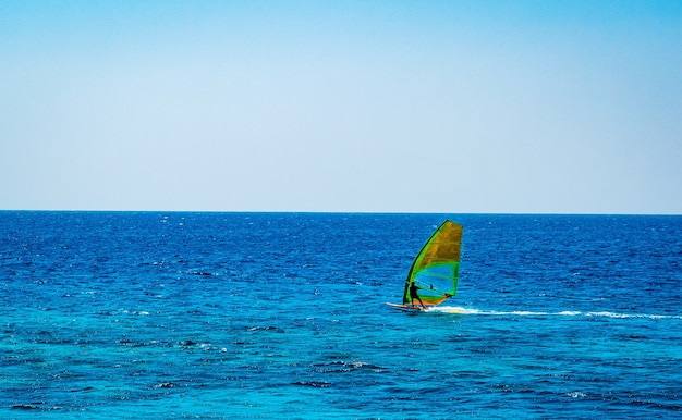 Windsurferzy z żaglem na morzu