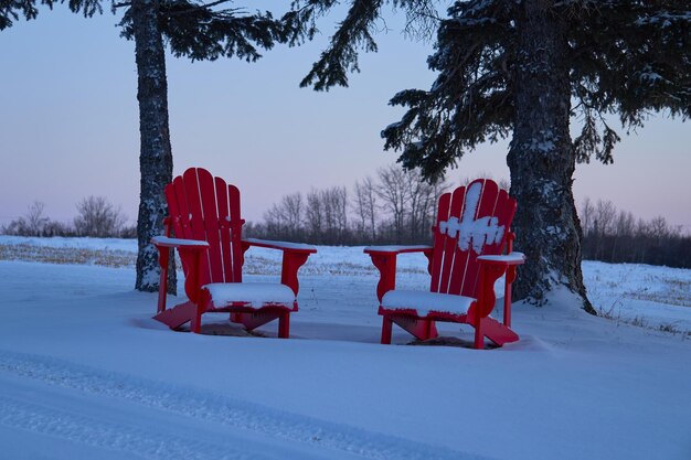 Zdjęcie winiety zimowe ukazujące ulotne piękno natury