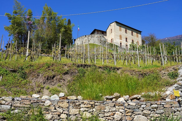 Winnica w dolinie Valtellina Sondrio Lombardia Włochy