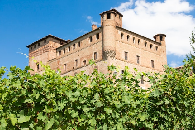 Winnica W Regionie Piemont, Włochy, Z Zamkiem Grinzane Cavour W Tle. Langhe To Dzielnica Winiarska Wina Barolo.