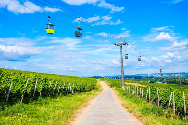 Winnice Rudesheim am Rhein Niemcy